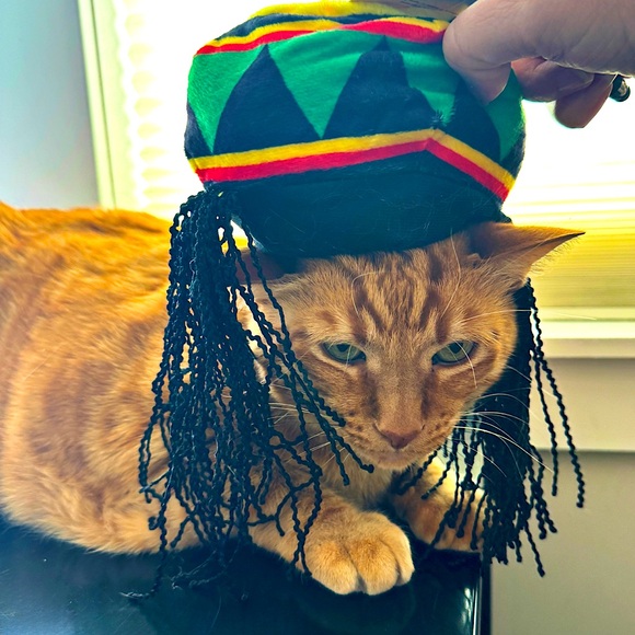 🐾🐶Pet Item(s) Unlisted🐾🐈 - Picture 8 of 13